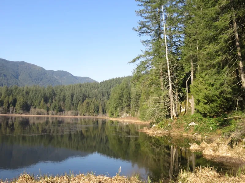 Coquitlam family neighbourhood with Tri-Cities mountain backdrop and Pacific Northwest light